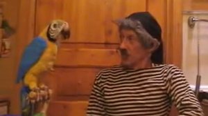 Боцман и попугай 2