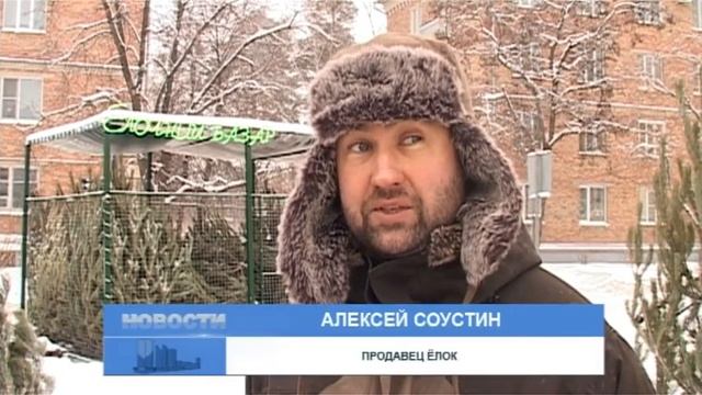 Как выбрать хорошую живую елку на Новый год? смотреть онлайн