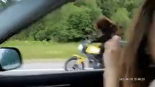 Медведь на мотоцикле ???????? приколы 2018-2019 смотреть онлайн