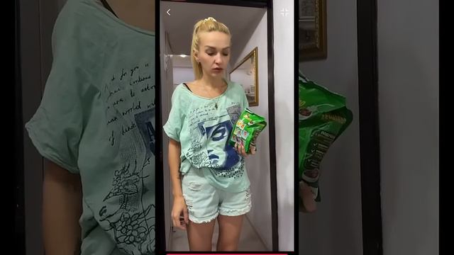 Моментальная амнистия ха #чихуахуа #дрессировкасобак #рекомендации #яржал #чихуаприколы #собачки смотреть онлайн