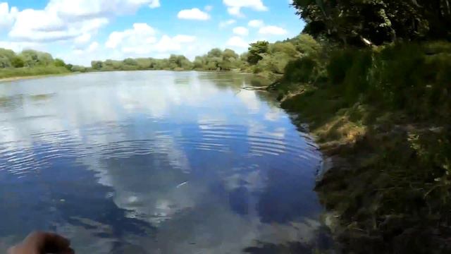 Жерех 3.5 кг на Днепре на LipStick 45, плетенка Gosen 0,8 PE Долго за ним охотился )