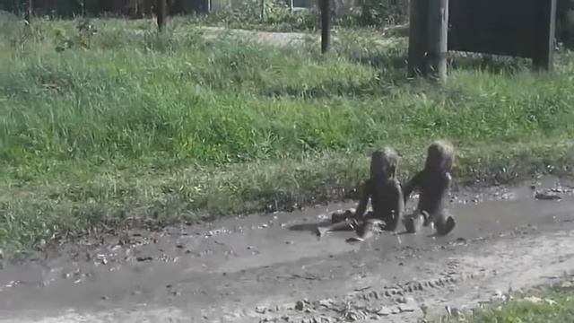 Дети купались в грязи смотреть онлайн