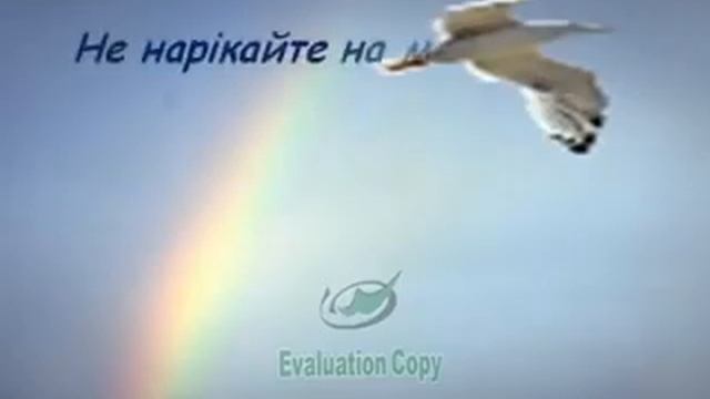 videoplayback смотреть онлайн