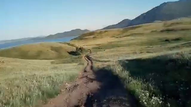прогулка на сафари Боровое смотреть онлайн
