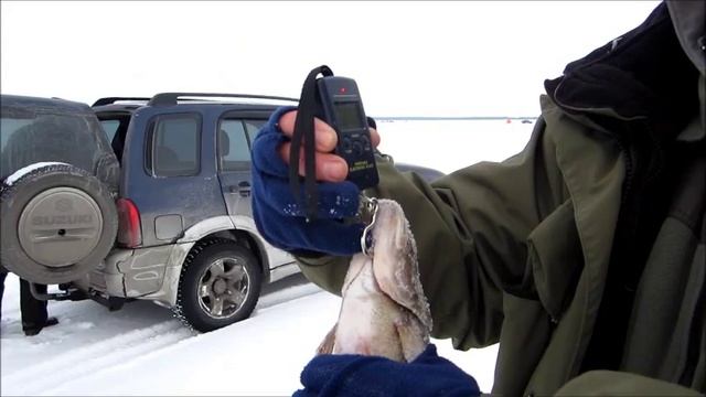 Fishing - просто фантастика.wmv смотреть онлайн