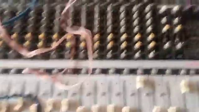 Dynacord Audio Mixer Testing | Islamabad Sound смотреть онлайн