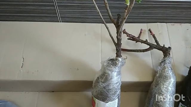 Посылка из Агро-маркета. Герои не сдаются.