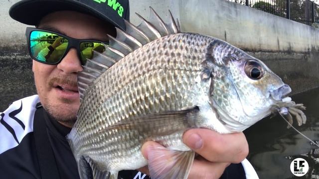 HOW TO CATCH BREAM | Fishing Soft Plastics In Canals. смотреть онлайн