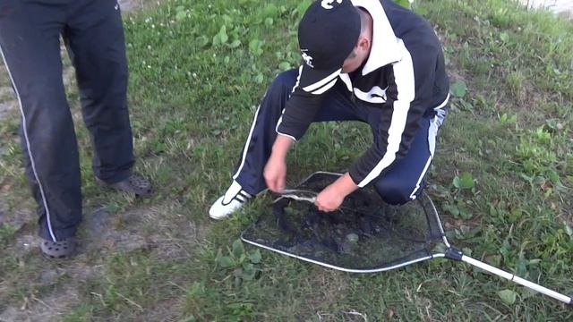 Рыбалка на золотой рыбке в Латвии смотреть онлайн