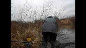 Кара-Чумыш, тайга, рыбалка, пескарь и чебак на поплавок. Прокопьевск