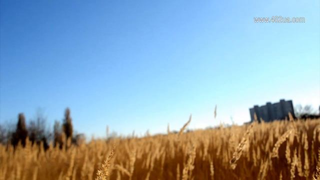 Пропал человек музыкальный видеоклип смотреть онлайн