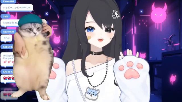 Ava es adicta al "Chipi-Chapa" y a otros memes de gatos смотреть онлайн