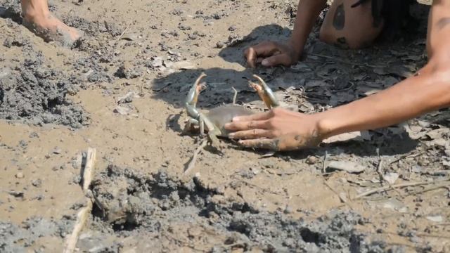 coocking Crab sea solo Eating injugle c #00058 смотреть онлайн
