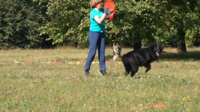 Frisbee Freestyle Людмила и Джек смотреть онлайн