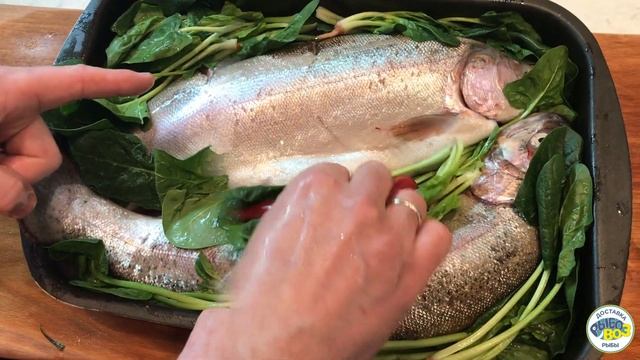 Форель запеченная со шпинатом смотреть онлайн