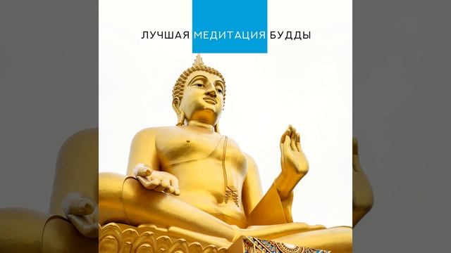 Поднимите положительную вибрацию смотреть онлайн