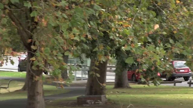 Rosso Scuderia Ferrari 599 GTO Insane Acceleration And Downshift