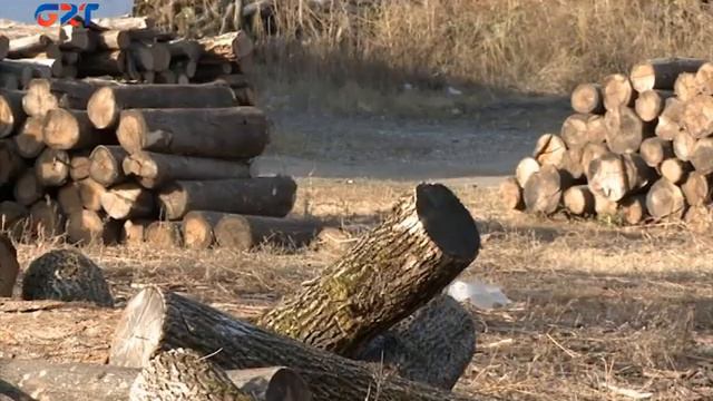 Жители ждут решения вопроса по закупке дров смотреть онлайн