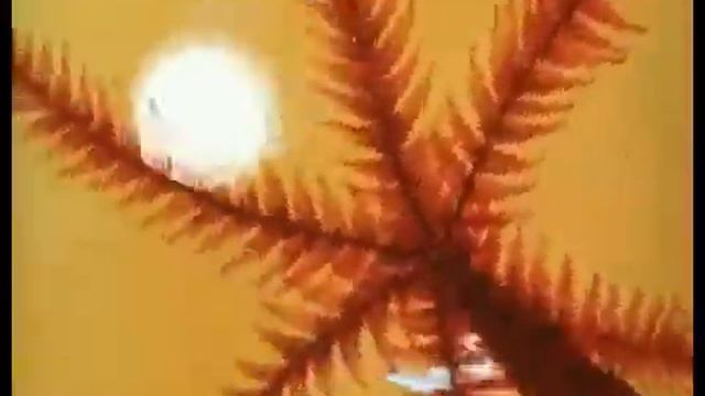 Танец утят смотреть онлайн