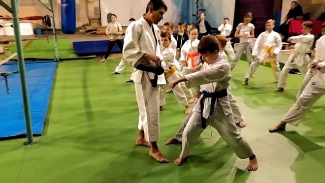 Шуто-уке, гьяку-цуки. Переход из кокуцу дачи в зенкуцу дачи. Семинар по каратэ - 5. смотреть онлайн