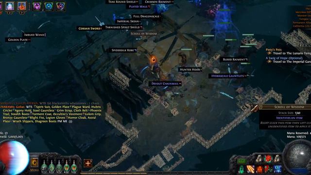 Path Of Exile: CI Summoner Witch The Docks Farming In Merciless [Tempest]