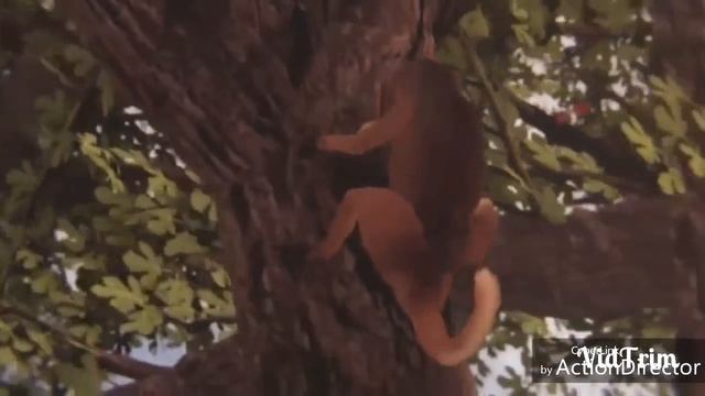 A EVOLUÇÃO HUMANA (HUMAN EVOLUTION ) TIME LAPSE смотреть онлайн