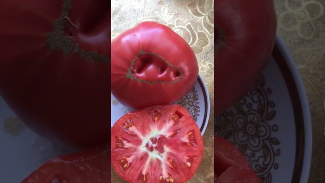 Презентация «10» смотреть онлайн