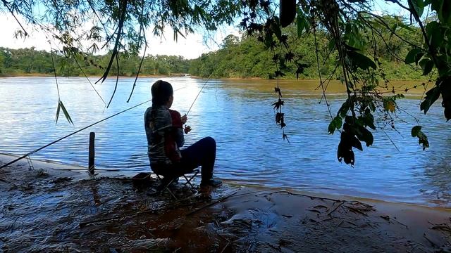 ASMR Nature - amazing fishing in Brazil смотреть онлайн