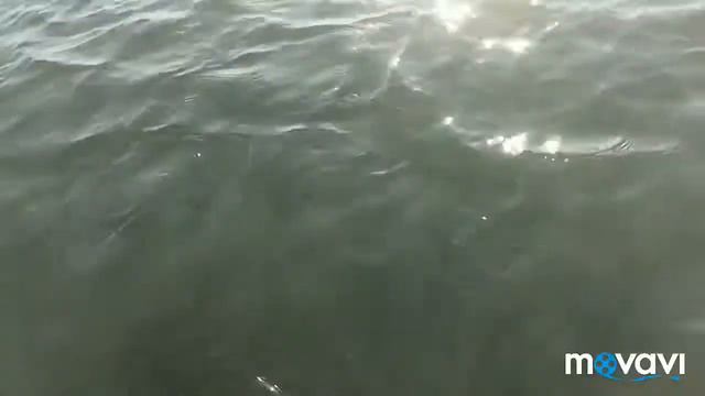 Евпатория море 2 смотреть онлайн