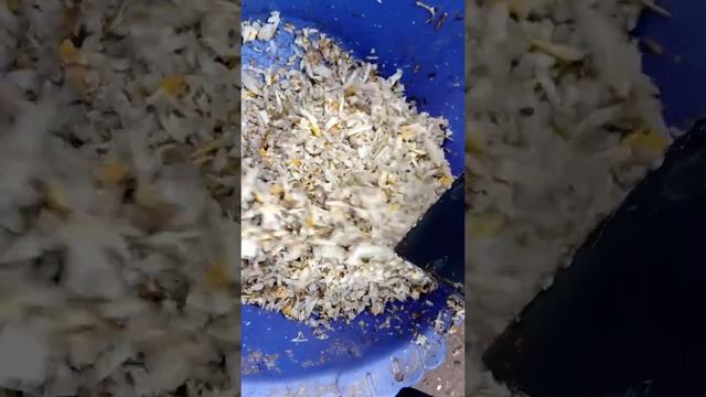 Лучшие Корморезка лущилка 1.5-5.5 квт 330\380 вольт от 4500грн смотреть онлайн
