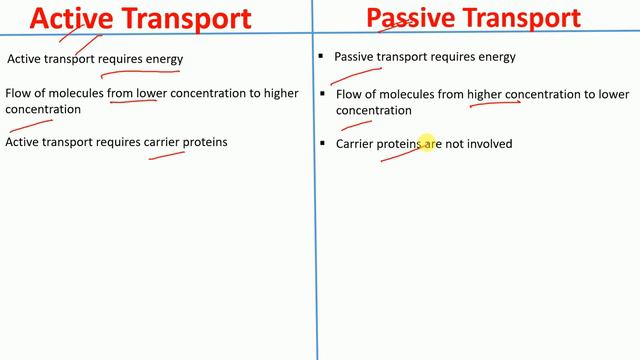 Active vs Passive Transport | Difference between Active and Passive Transport | смотреть онлайн