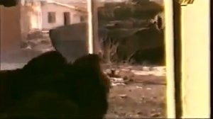 "Любэ" - "Скоро дембель". Слова - Андреев М.В. Музыка - Матвиенко И.И.