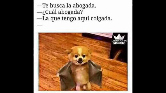 Imajenes locAs !!!!👊 смотреть онлайн