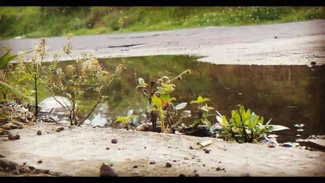 Una Vida - Smoky Weed- Poema смотреть онлайн