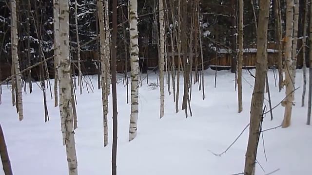 РЕЛ Бес и секачек с клыками.Мое измененное видео смотреть онлайн
