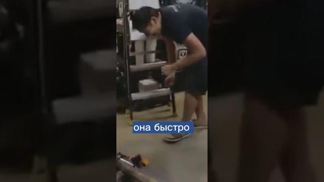 Учёный изобрел ноги для змеи смотреть онлайн