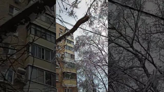 Февраль в Москве.помогите!!!! смотреть онлайн