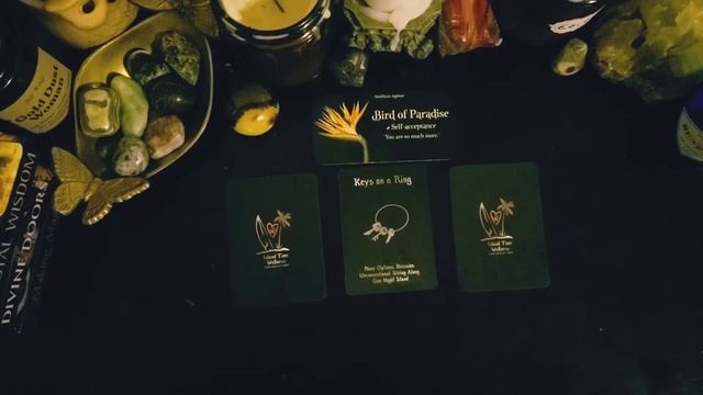 Monday Island Time Wellness Love Oracle Daily Wisdom **Love Week** смотреть онлайн