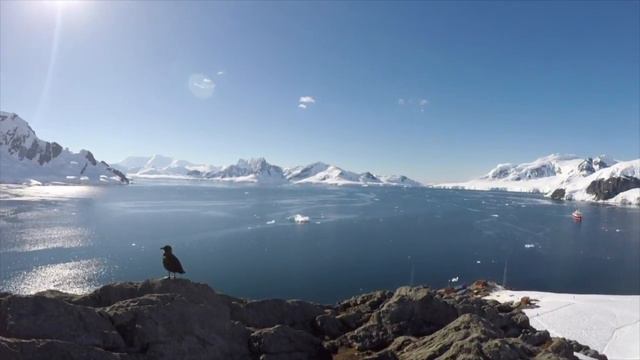 ANTARCTICA journey vlog | Episode 7 - SLIDING A HILL IN PARADISE BAY | THERE IS NO PLANET B | tado° смотреть онлайн