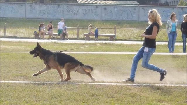 Пришвин из ЧР сезон 2015 смотреть онлайн
