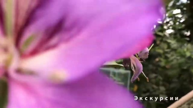 Школьное отделение "Сказки" смотреть онлайн