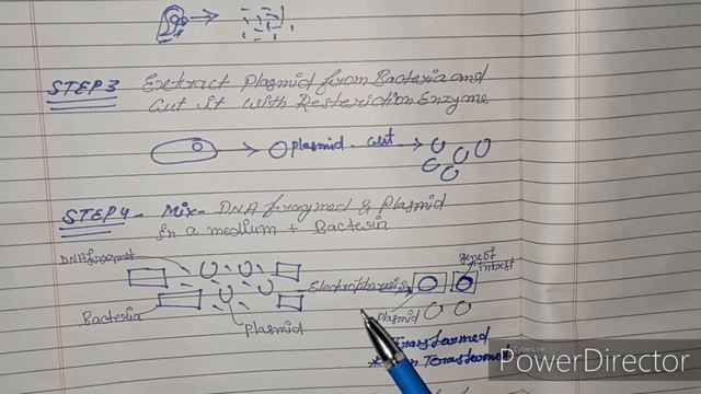 GENE CLONING METHOD смотреть онлайн