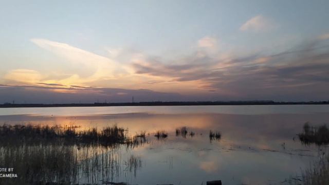 Небольшое разнообразие! смотреть онлайн