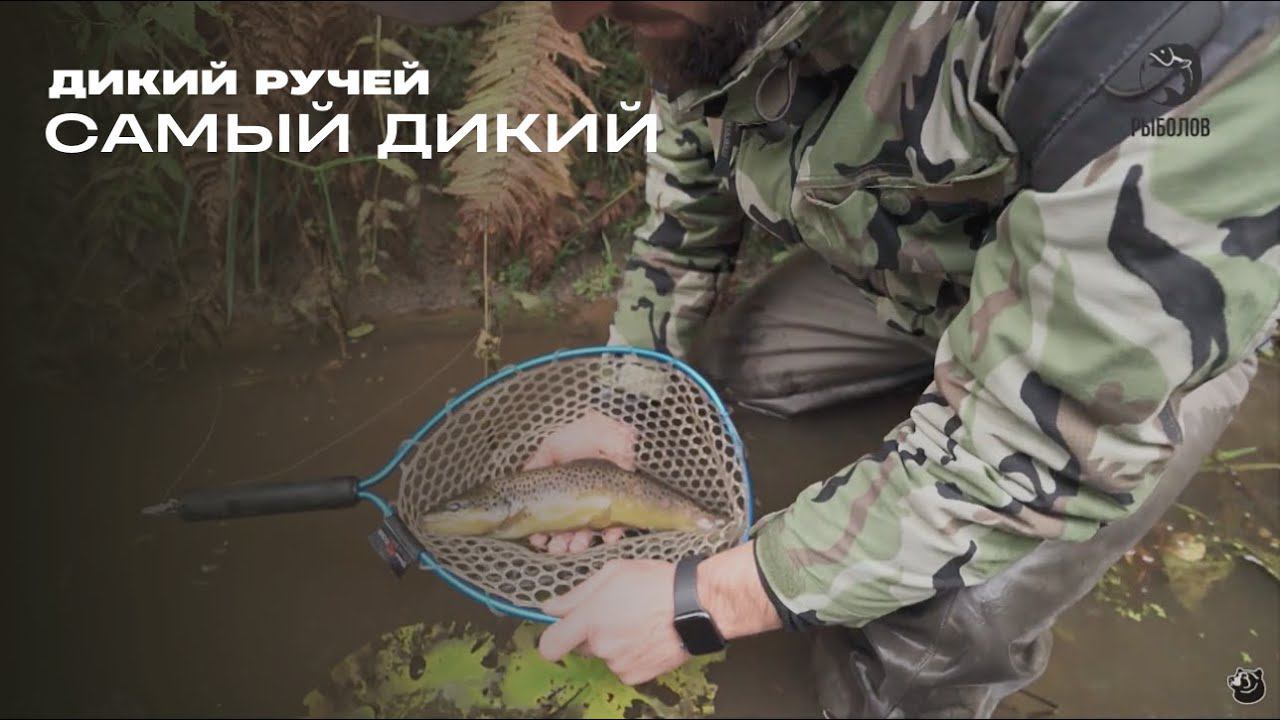Самый дикий. Дикий ручей смотреть онлайн