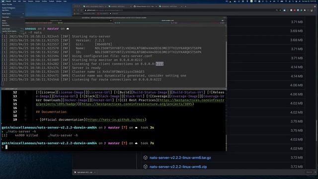 NATS Publish and Subscribe - Part 1 смотреть онлайн