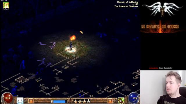 ONE OF MY FAV D2 MODS! - Le Royaume des Ombres - Modded Diablo II смотреть онлайн