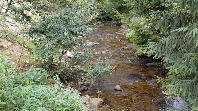 Нежное журчание ручья. Звук ручья, звуки природы смотреть онлайн