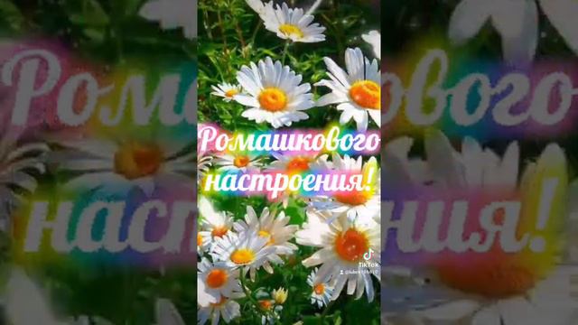Пожелания доброго летнего дня 😘🌼😘 смотреть онлайн