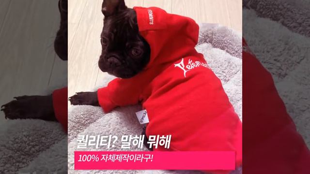 petmus_retro смотреть онлайн