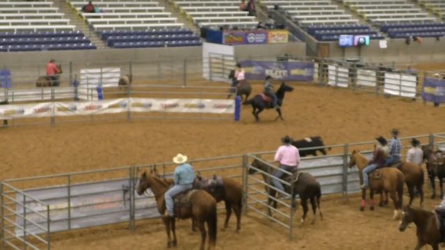 Team Penning - 10HC Set 3 - 2019 USTPA Panhandle Pen & Sort смотреть онлайн